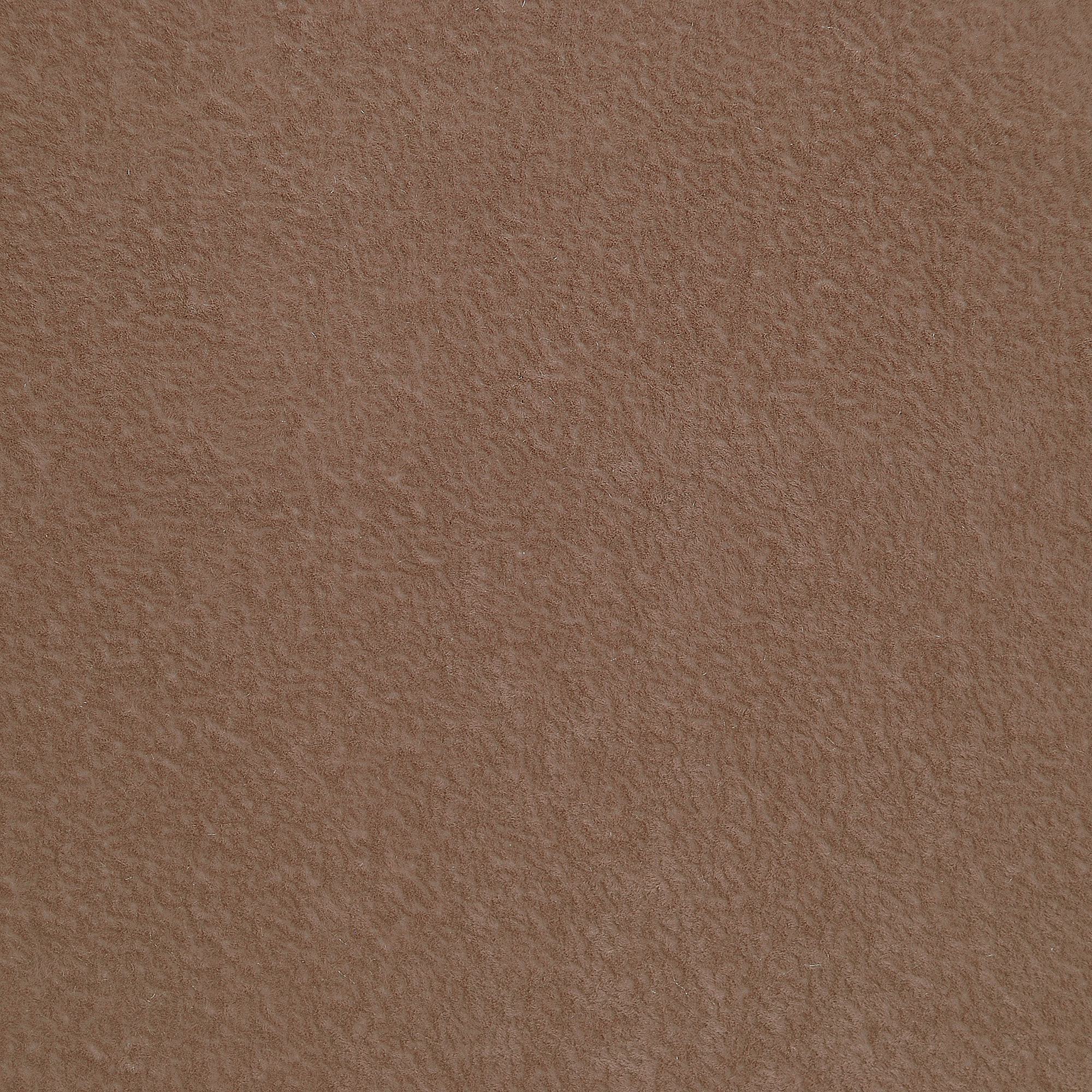  Breeze-3646_web.jpg