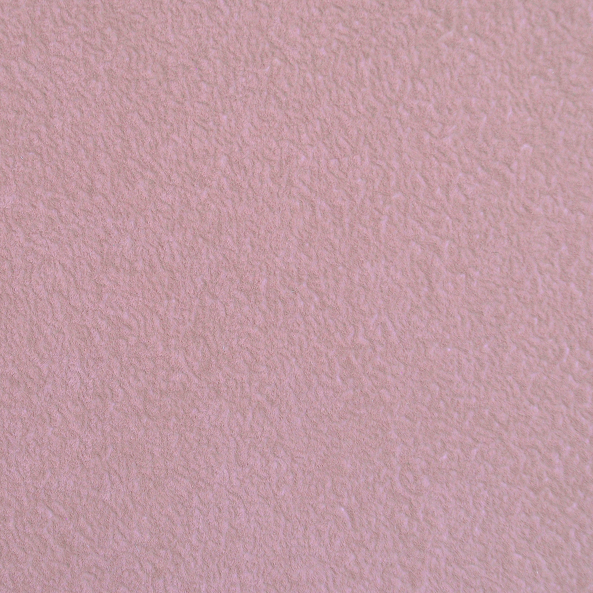  Breeze-4301_web.jpg