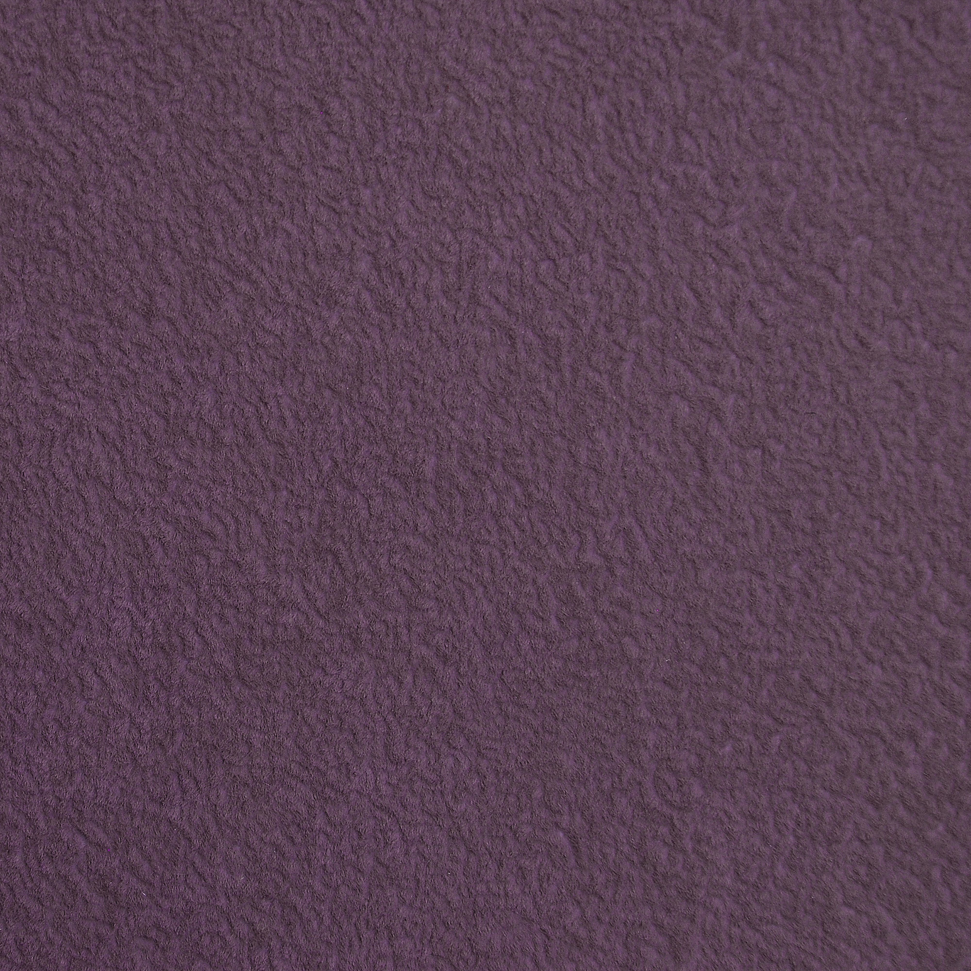  Breeze-4701_web.jpg
