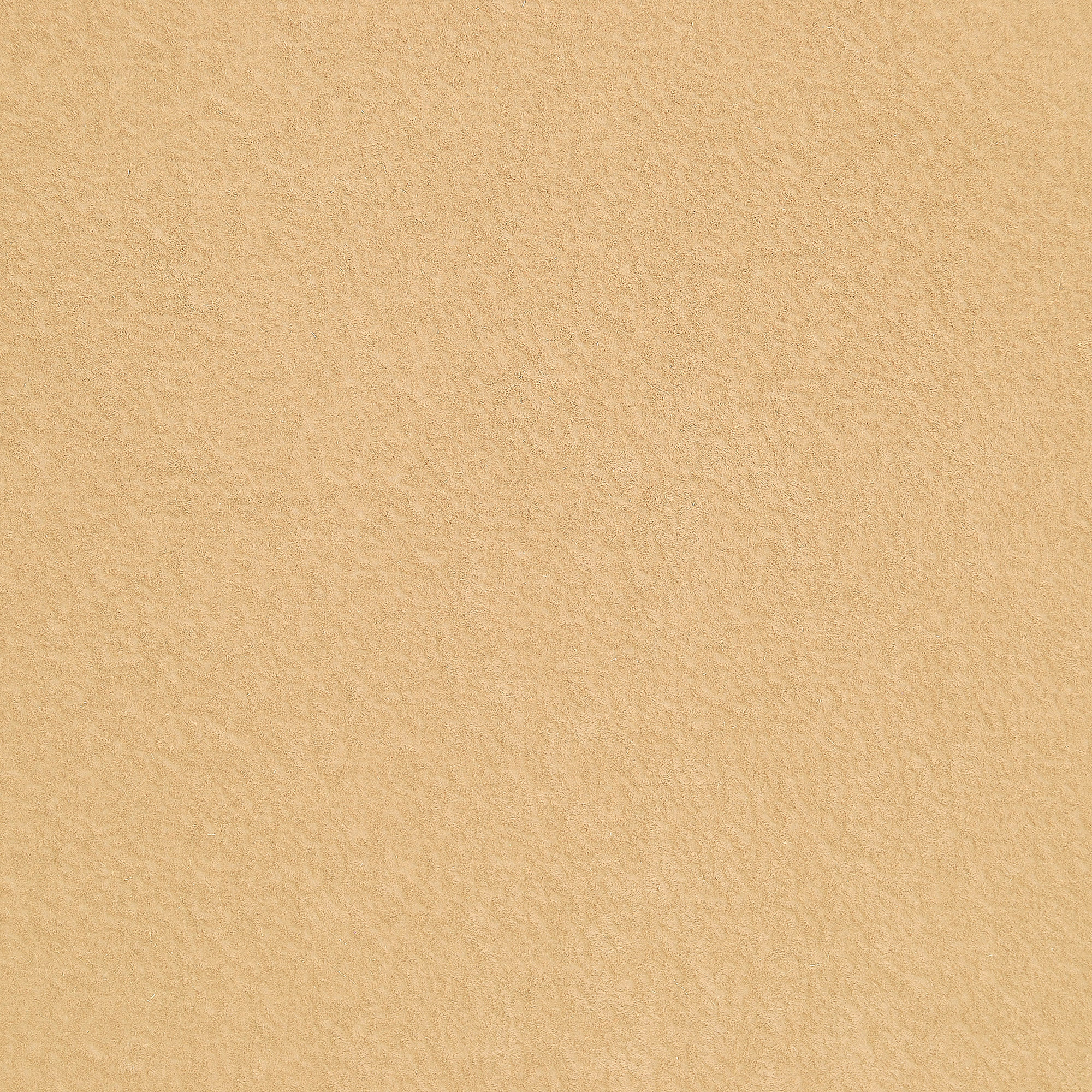  Breeze-9671_web.jpg