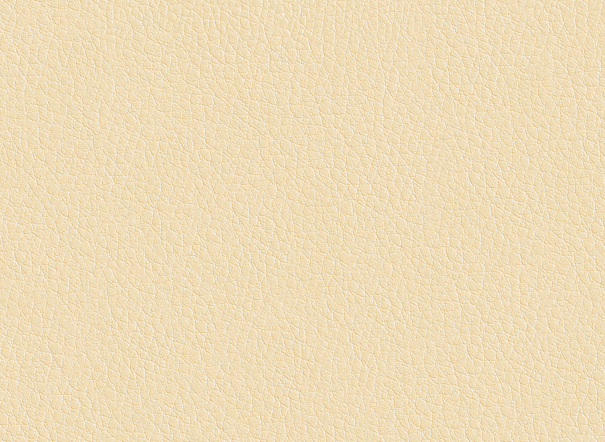  Best-83_web.jpg