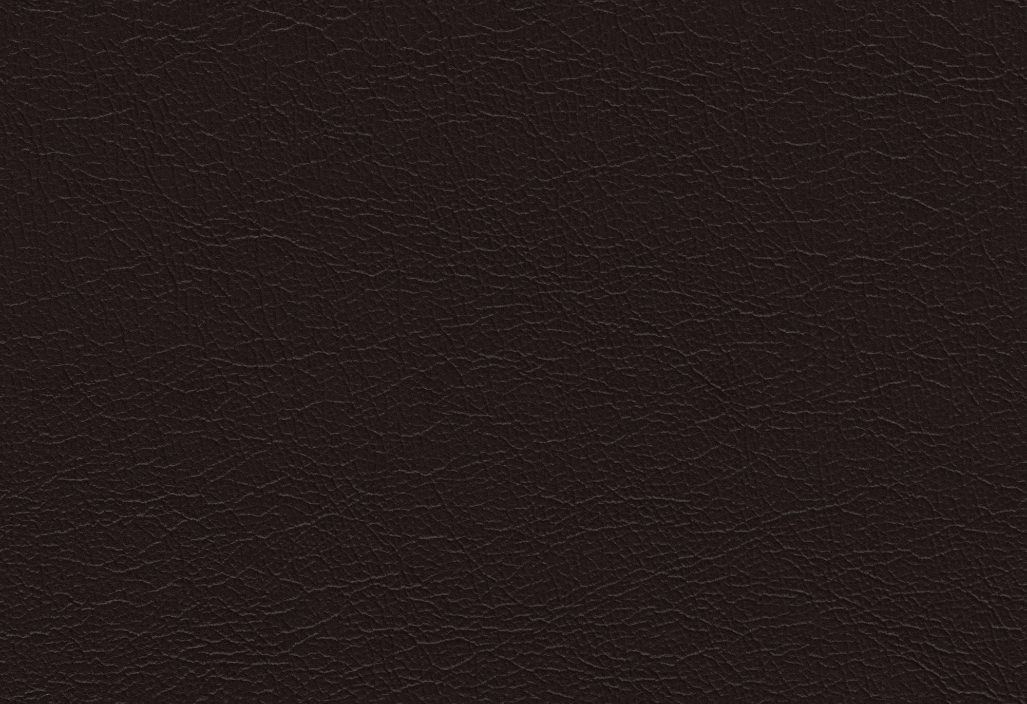  Magic-02_web.jpg