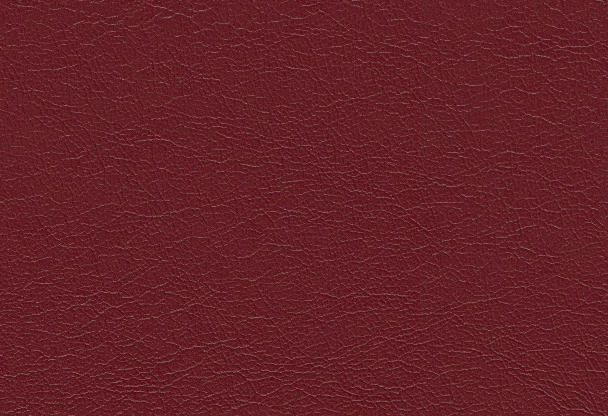  Magic-08_web.jpg