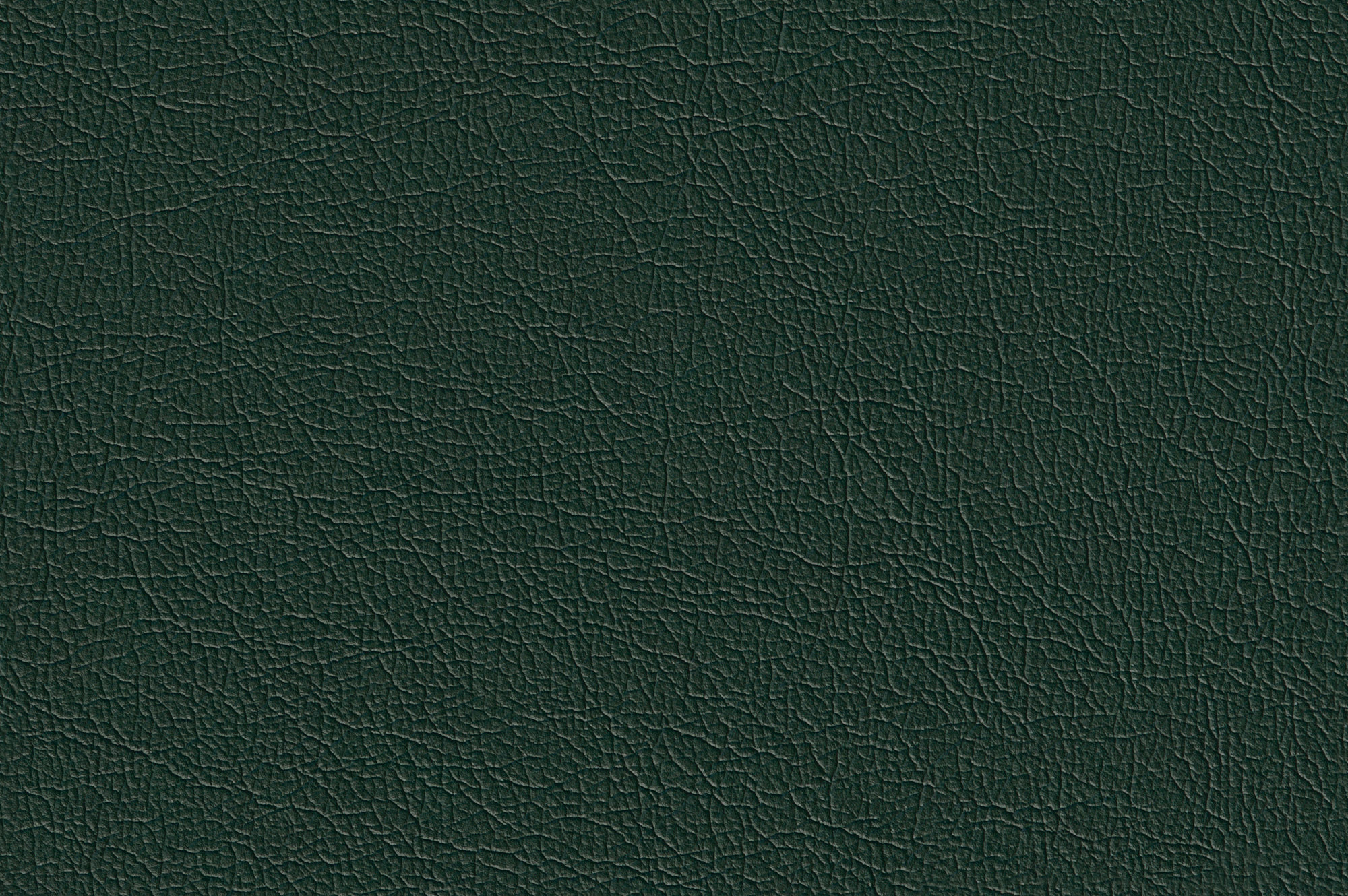  Magic-12_web.jpg