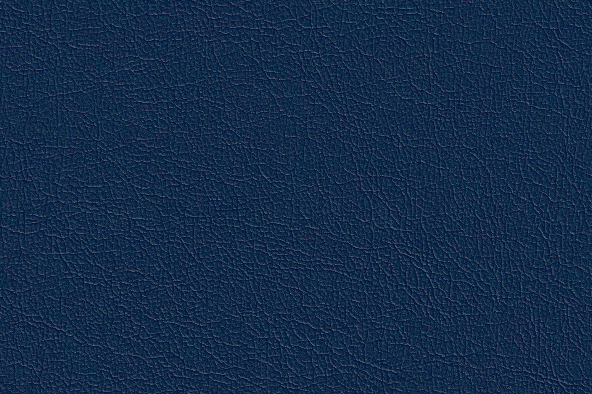  Magic-14_web.jpg