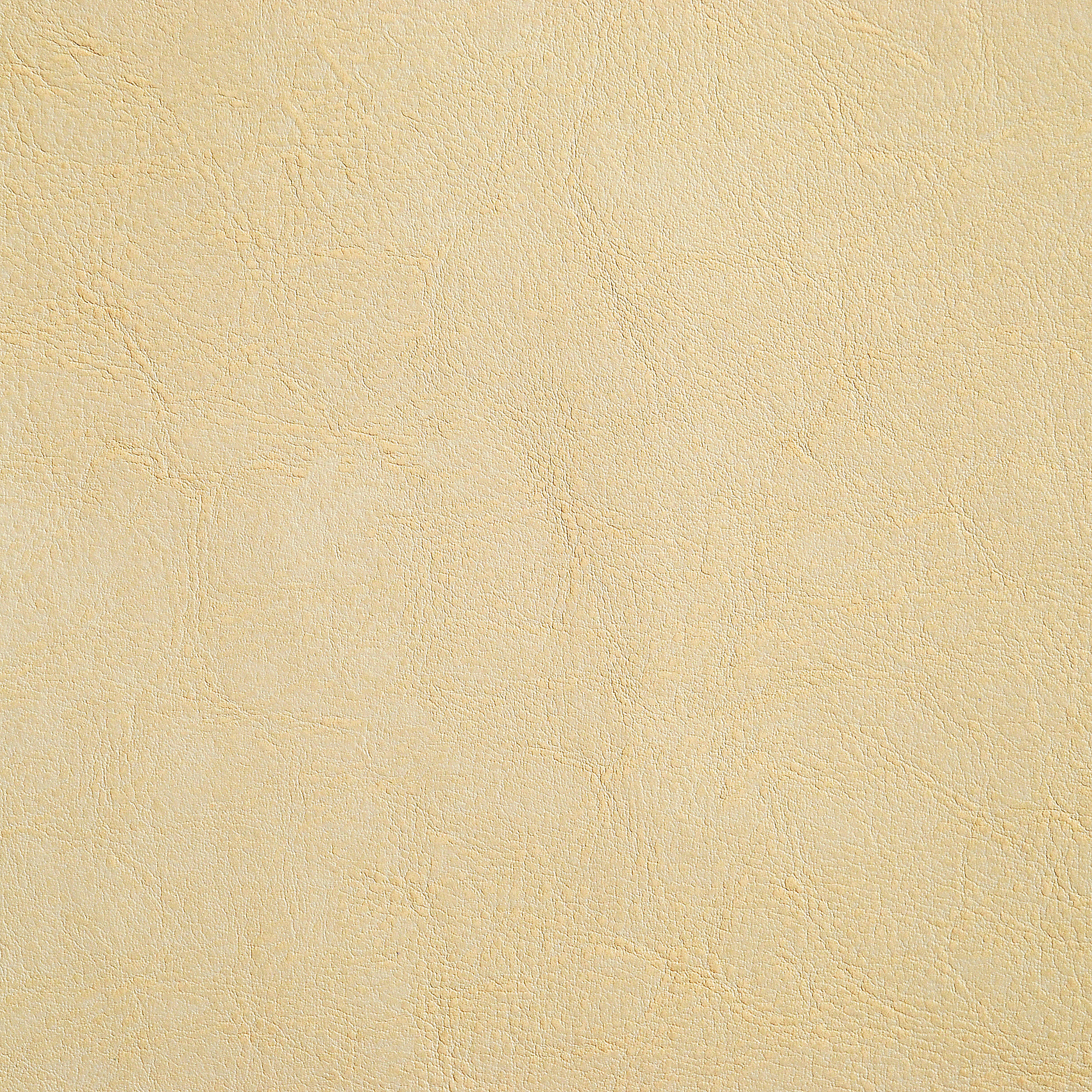  Molero-011_web.jpg