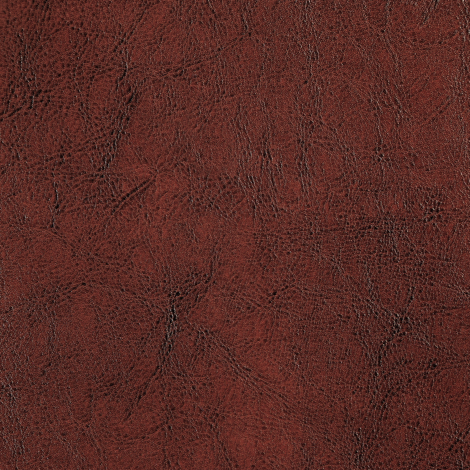  Molero-329_web.jpg