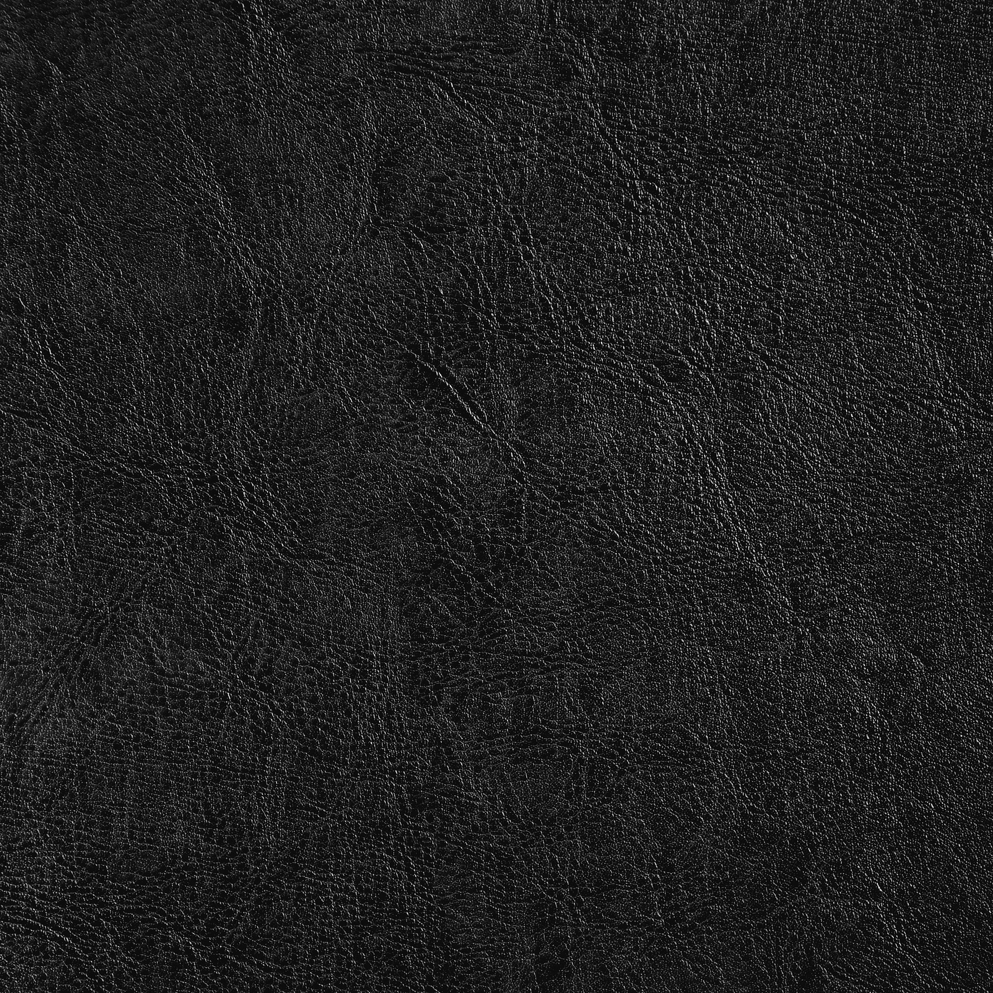  Molero-380_web.jpg