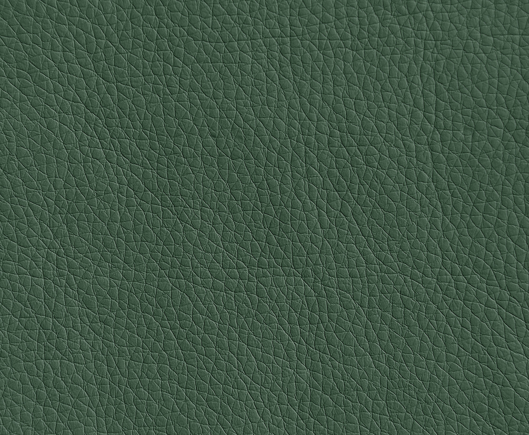  Oregon-01_web.jpg