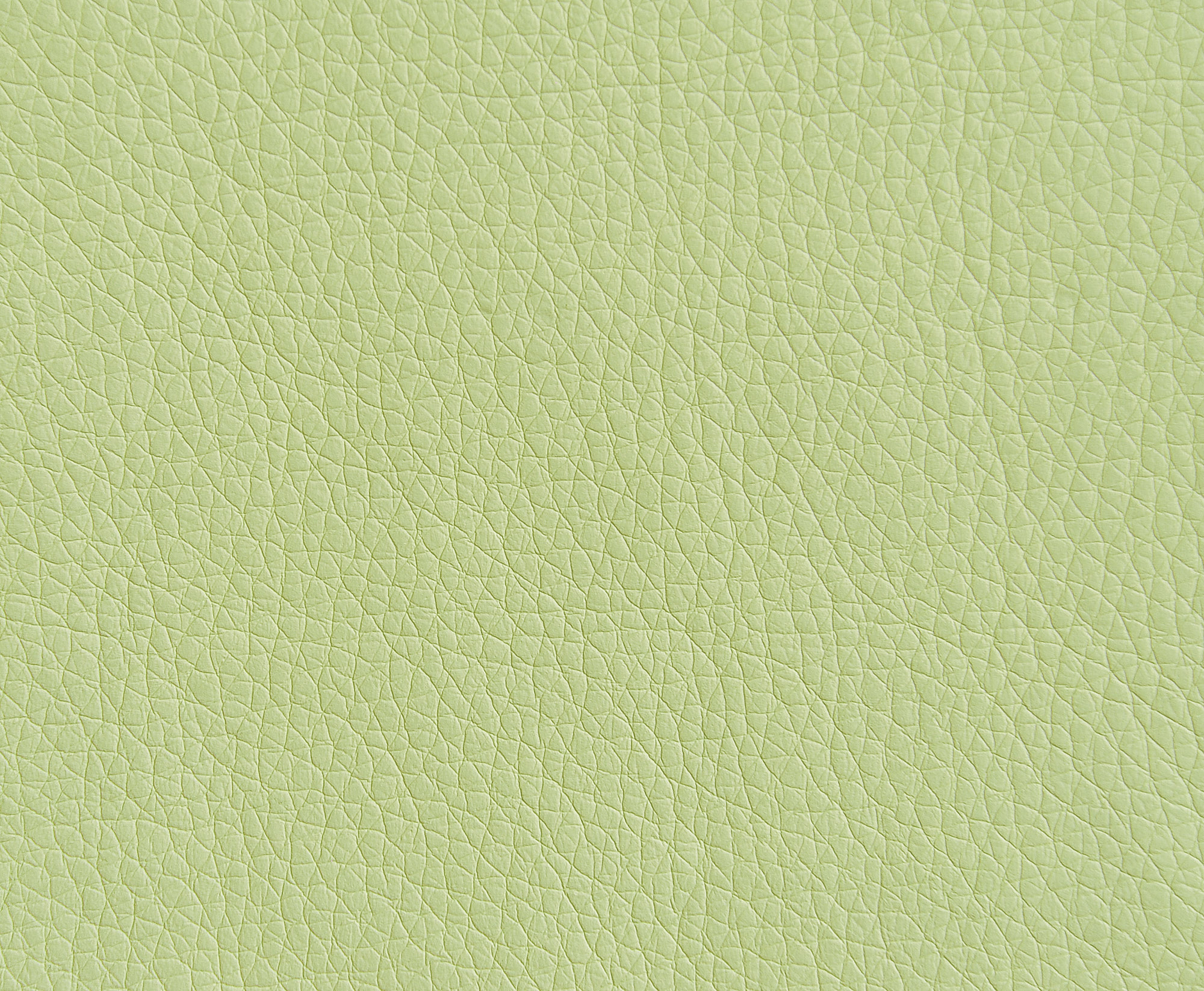  Oregon-33_web.jpg