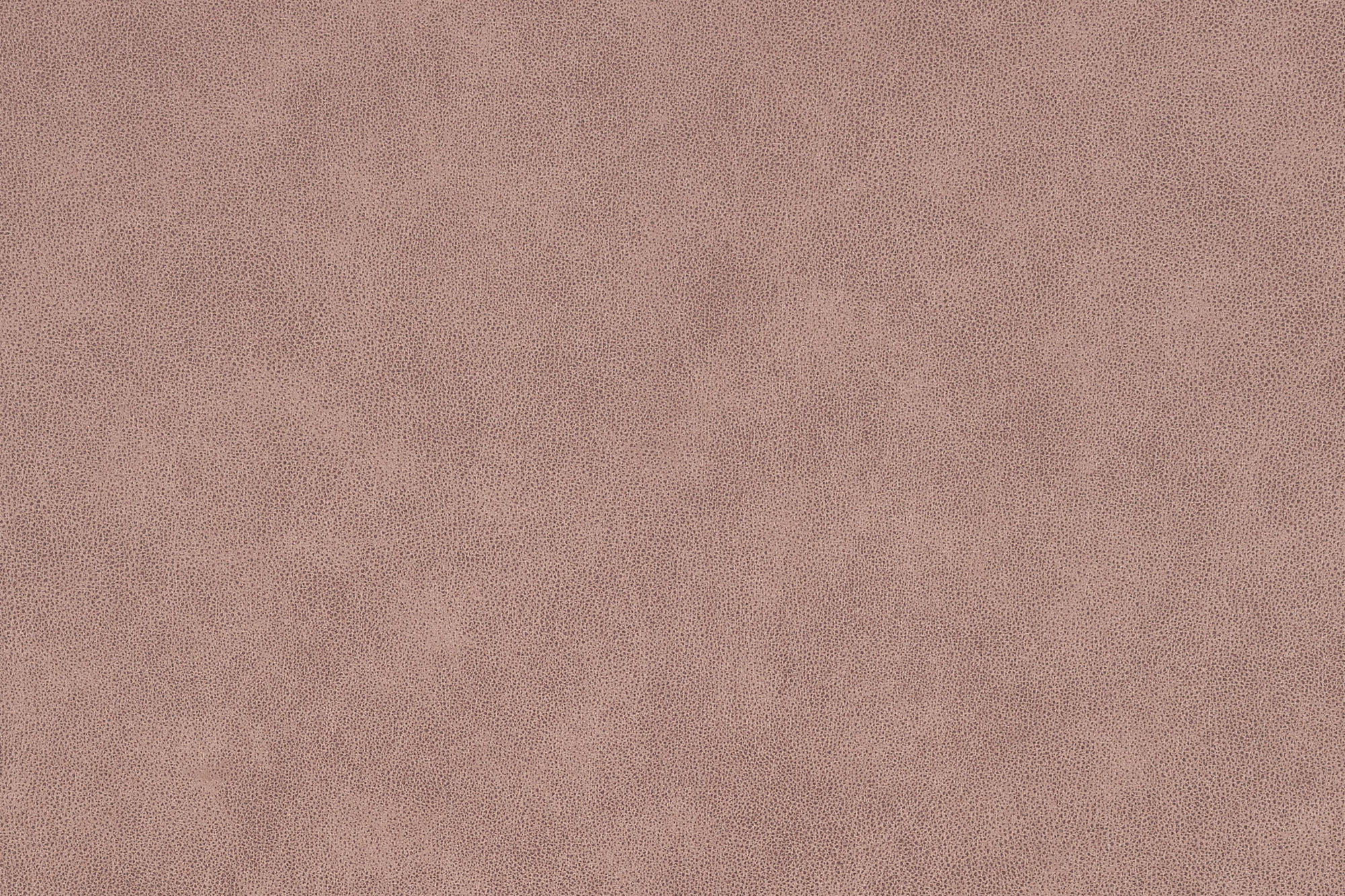  Magnum-290_web.jpg