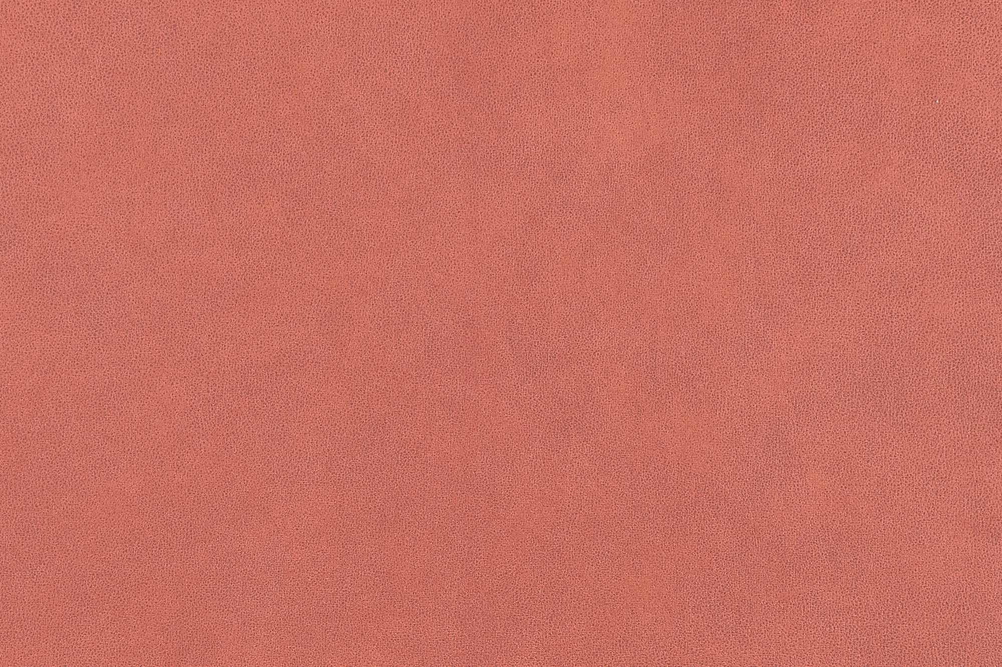  Magnum-494_web.jpg