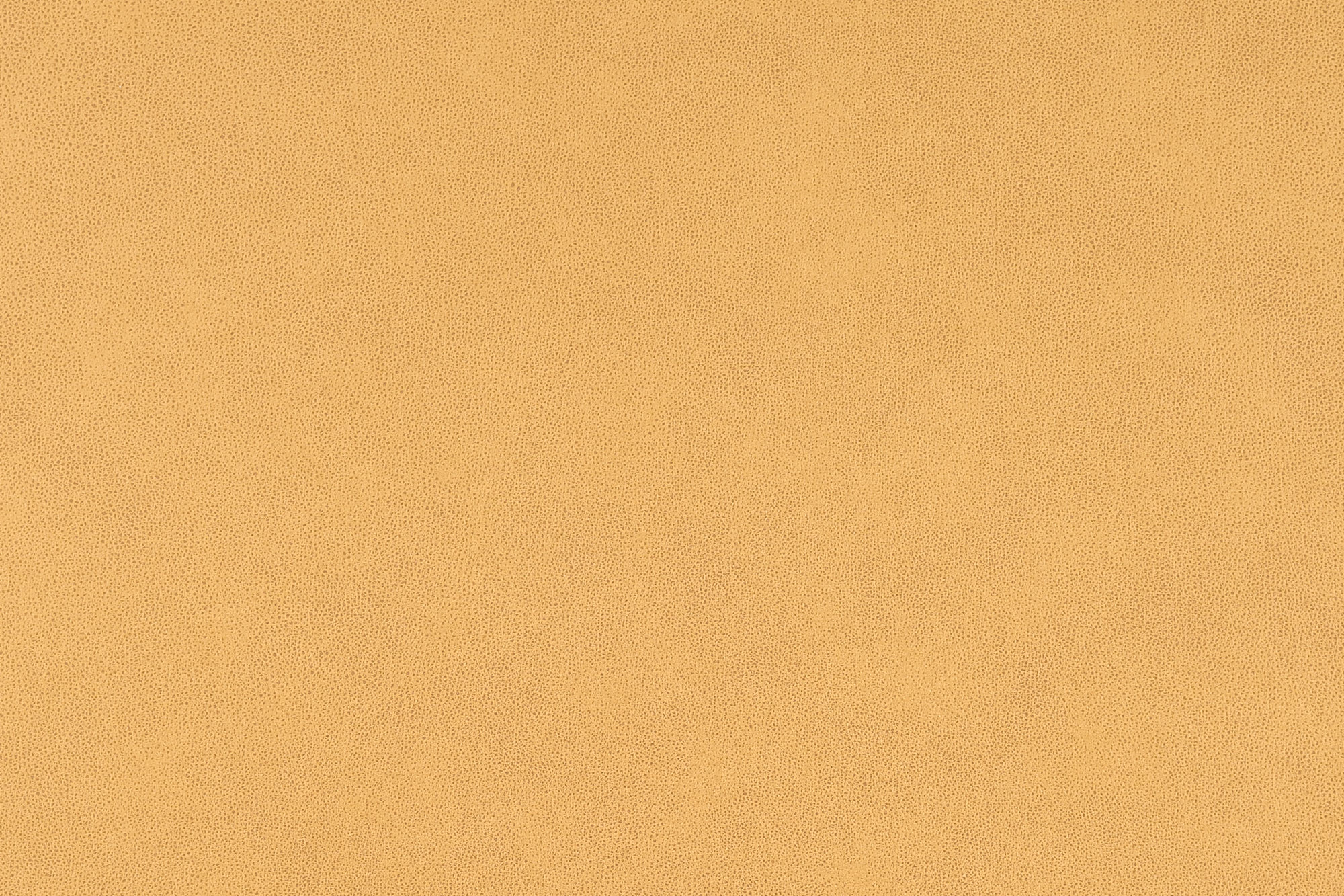  Magnum-520_web.jpg