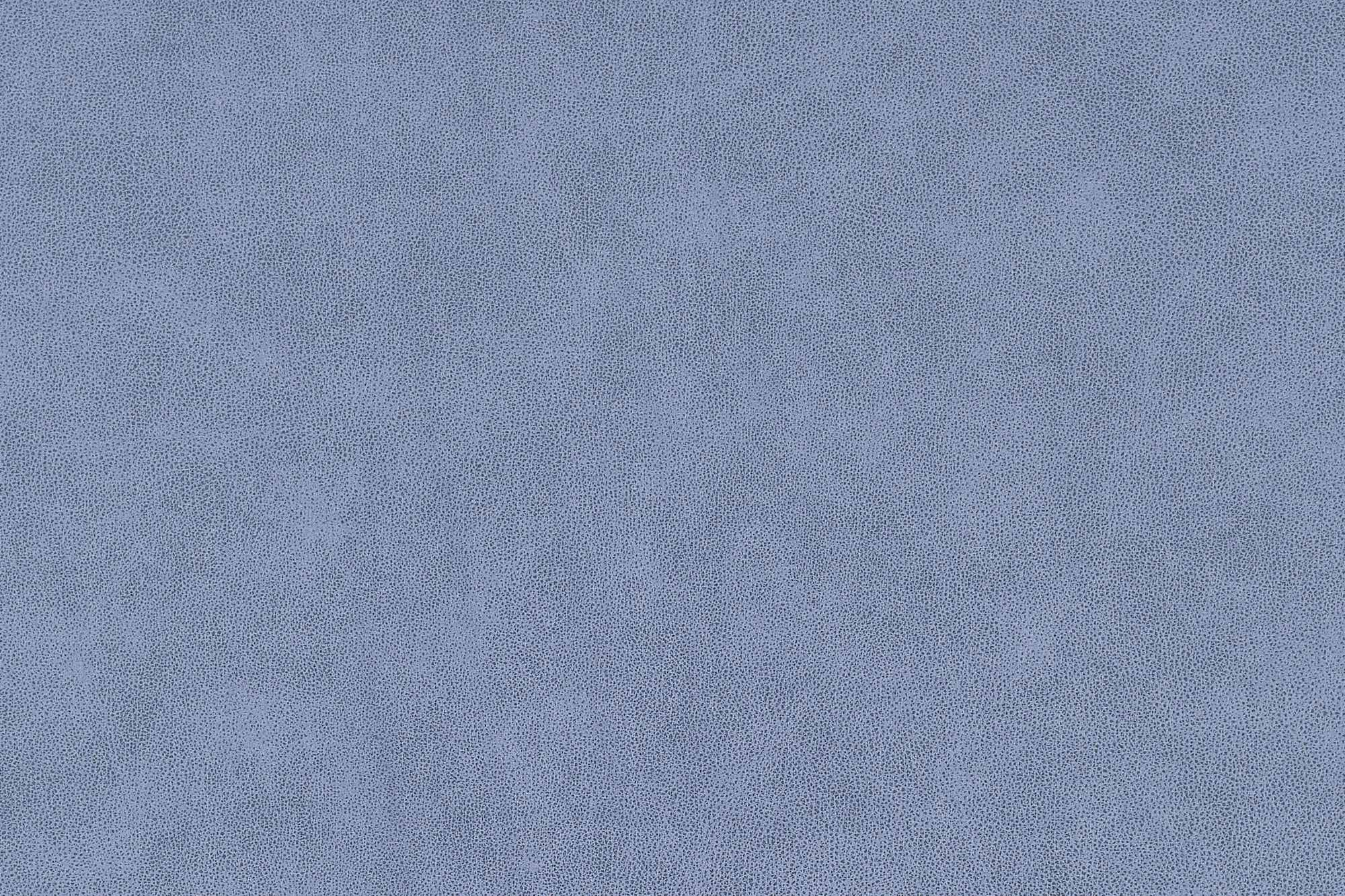 Magnum-795_web.jpg