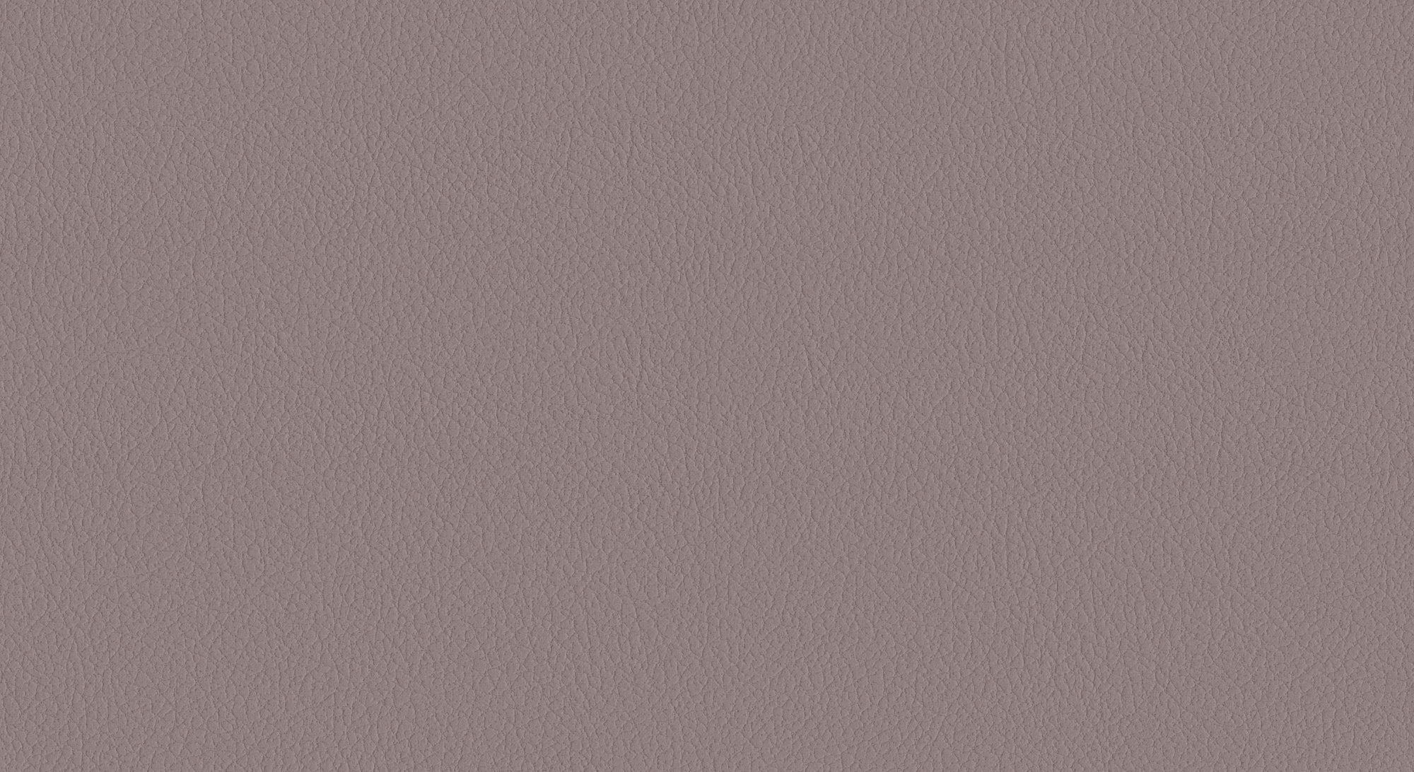  Oracul-230_web.jpg