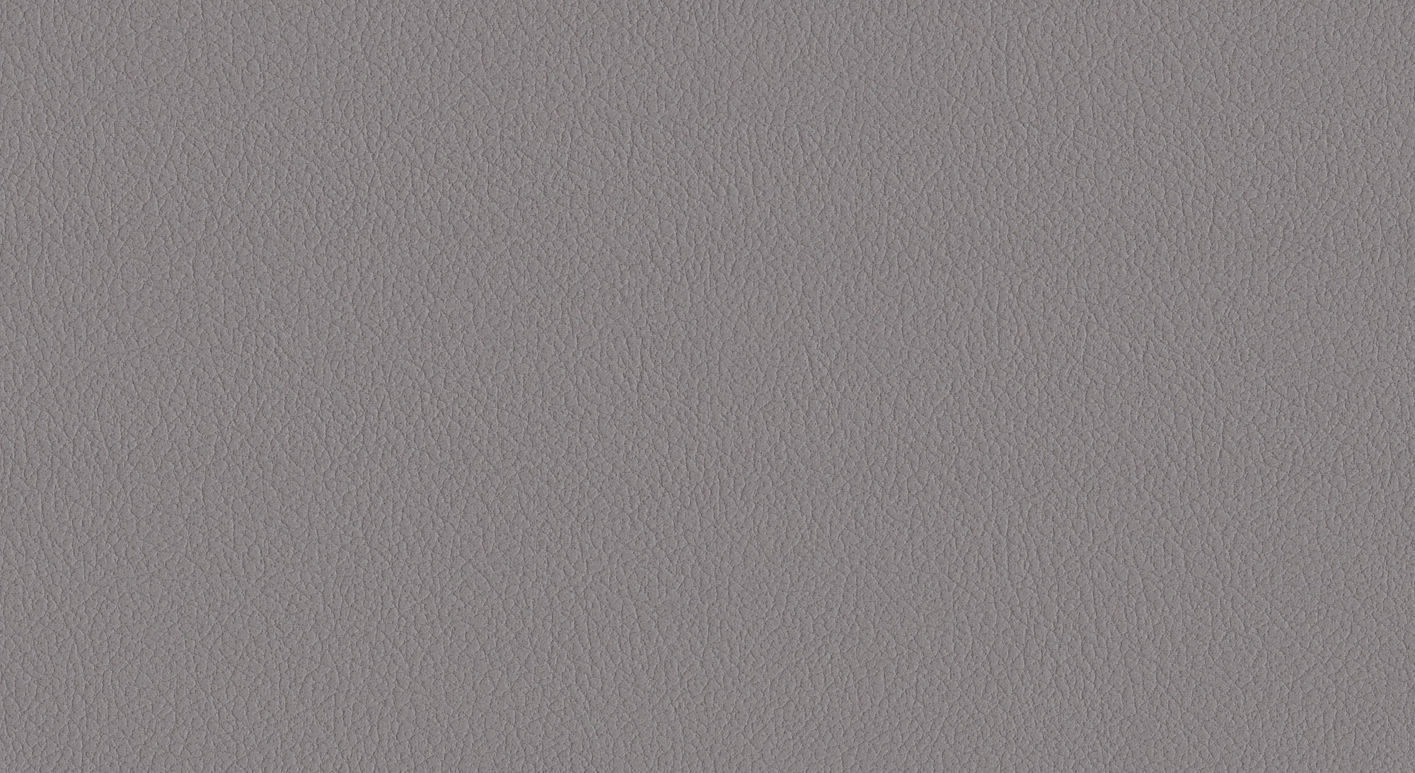  Oracul-290_web.jpg