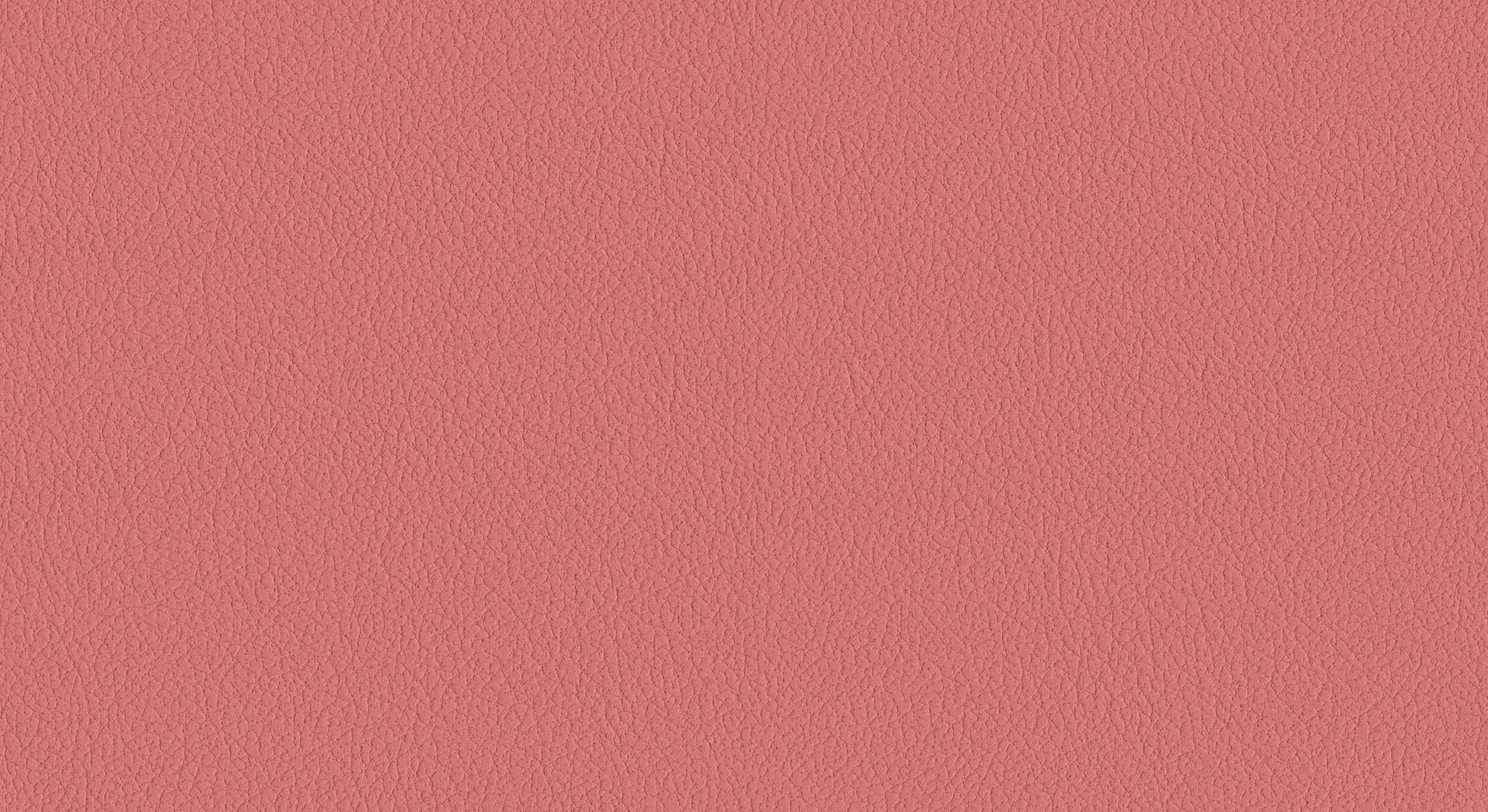  Oracul-490_web.jpg