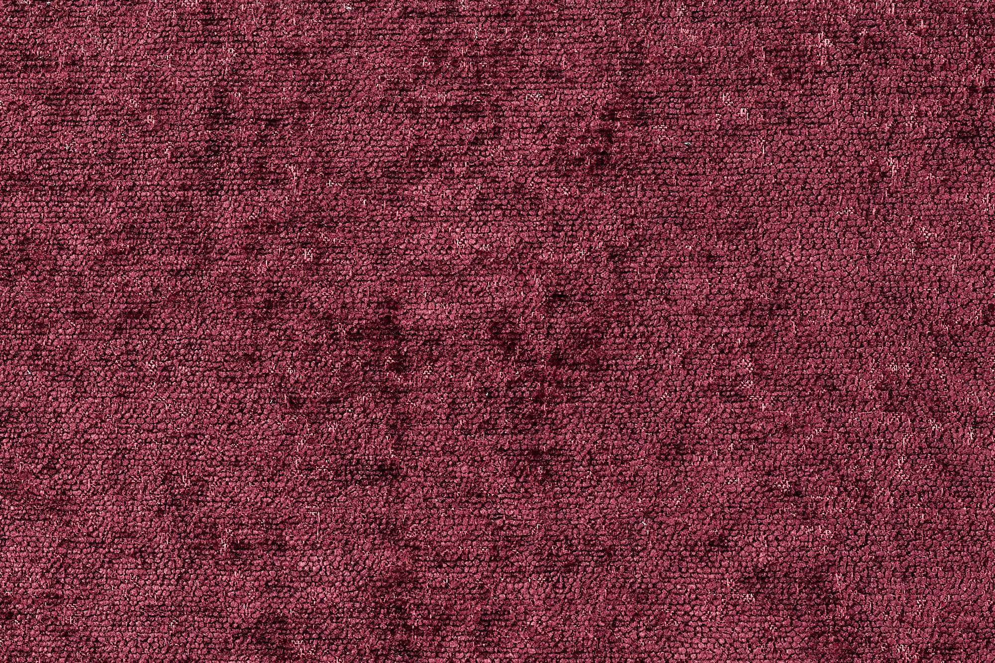  Oscar-338_web.jpg