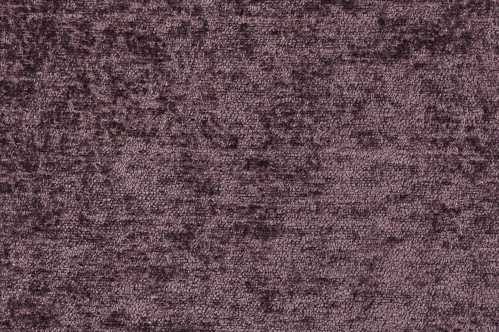  Oscar-398_web.jpg