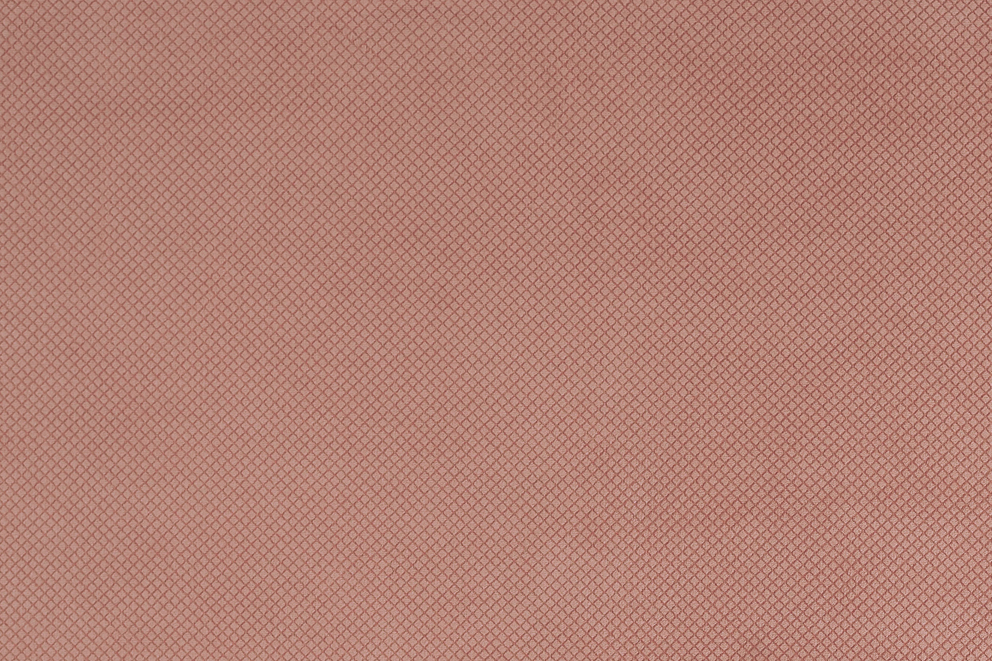  Avatar-305_web.jpg