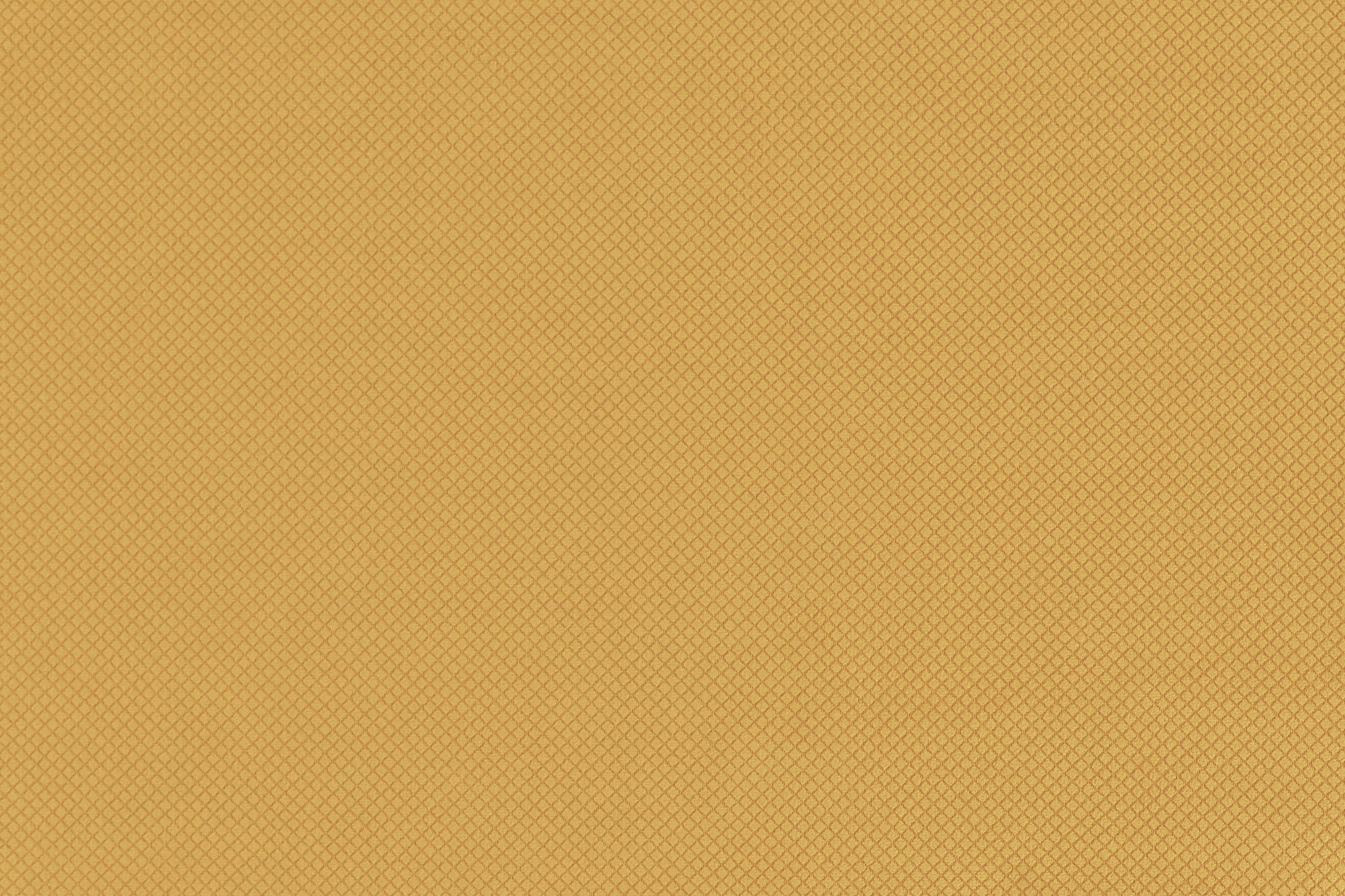  Avatar-560_web.jpg
