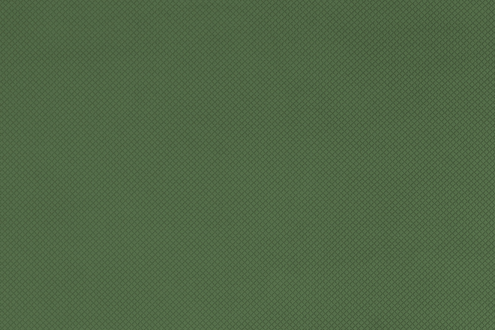  Avatar-657_web.jpg