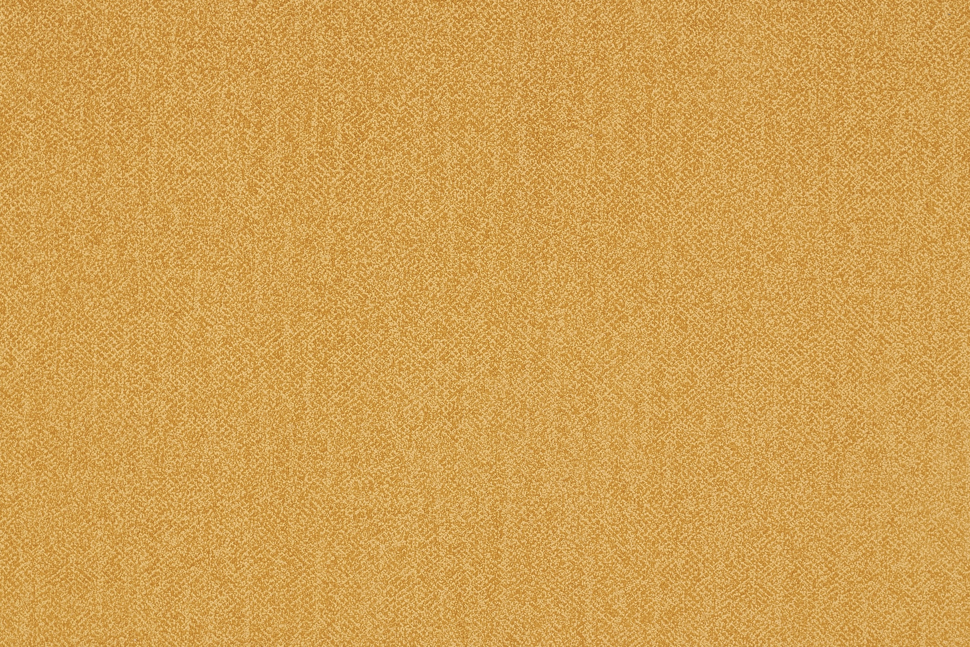  Discovery-560_web.jpg