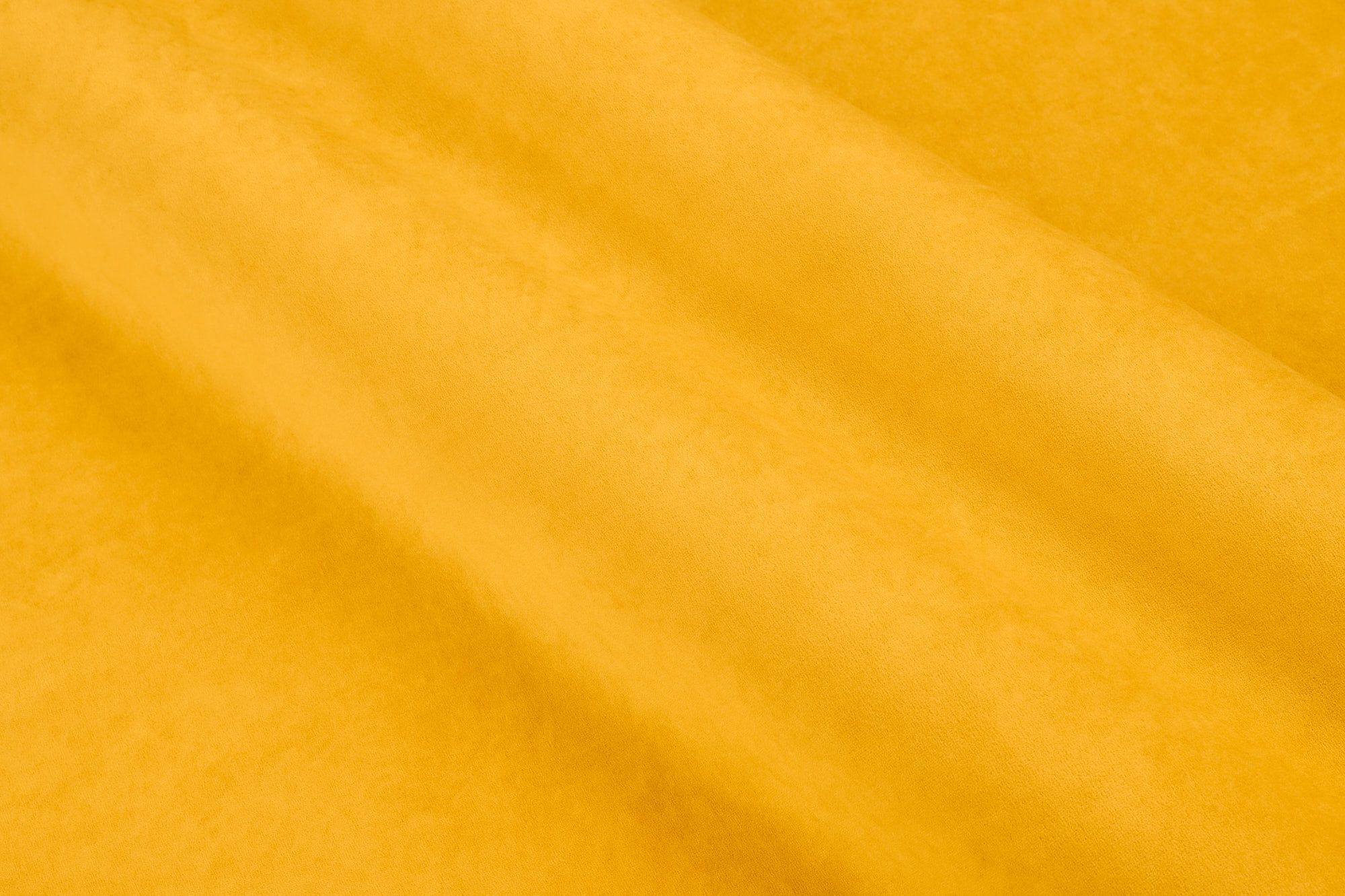  Formula-560-art_web.jpg